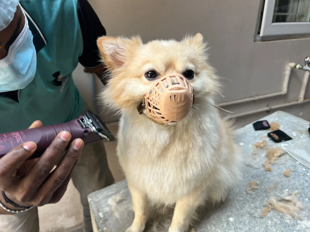 patient looking shocked in clinic chair